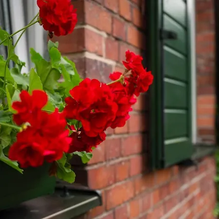 Nocleg ze śniadaniem U świętego Krzysztofa