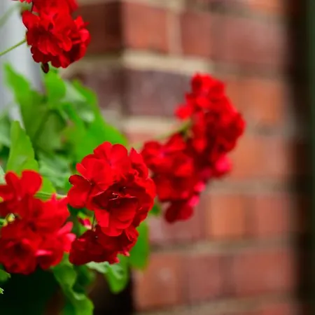 U Swietego Krzysztofa לינה וארוחת בוקר ורוצלב