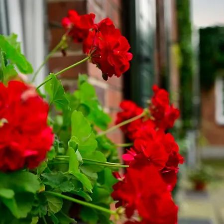 Bed & Breakfast U Swietego Krzysztofa Wroclaw