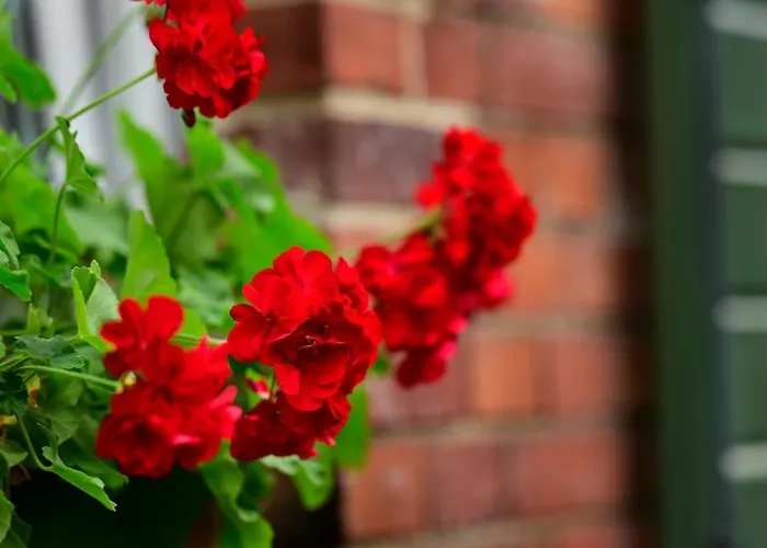 U Swietego Krzysztofa 住宿加早餐酒店 弗罗茨瓦夫