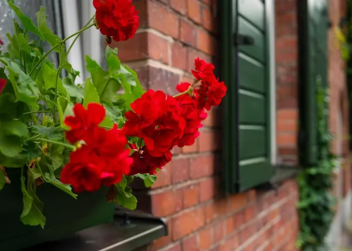 Alojamento de Acomodação e Pequeno-almoço U Swietego Krzysztofa