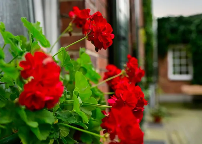 Alojamento de Acomodação e Pequeno-almoço U Swietego Krzysztofa Wrocław